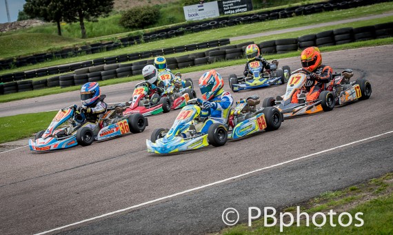 Bayford Meadows - May 1