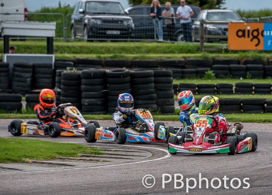 Bayford Meadows - May 3