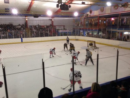 Invicta Dynamos v Bracknell Hornets